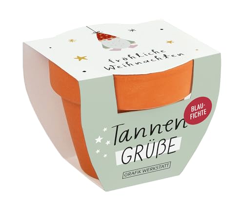 Grafik-Werkstatt Tannengrüße Blaufichte | Mini-Terrakotta-Töpfchen mit Samen | Fröhliche Weihnachten von Grafik-Werkstatt