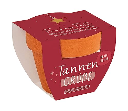 Grafik-Werkstatt Tannengrüße Blaufichte | Mini-Terrakotta-Töpfchen mit Samen | Frohes Fest, klein von Grafik-Werkstatt
