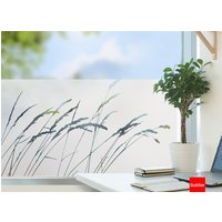 Fensterfolie Sichtschutzfolie Milchglasfolie Büro Praxis Wohnung in Sandstrahloptik Motiv "Dünengräser" G412 von Grafolex