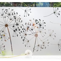 Sichtschutzfolie in Sandstrahloptik Fensterfolie Mit Motiv Pusteblume G417 von Grafolex