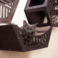 An Der Wand Befestigtes Katzenbett Moderne Katzenmöbel Aus Birkensperrholz von GrainGloryCo