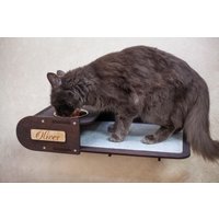 An Der Wand Befestigtes Katzenfutter-Regal Erhöhte Katzenschalen Aus Birkensperrholz von GrainGloryCo