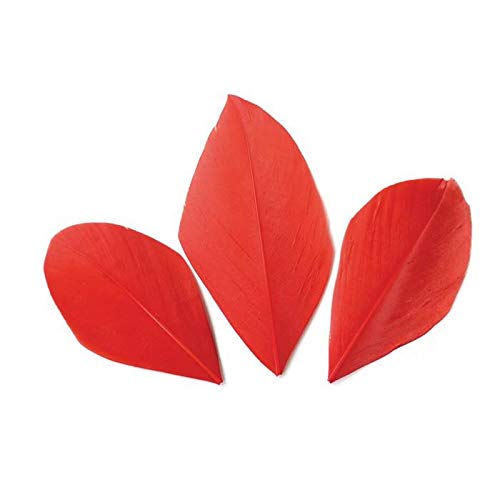 50 geschnittene Federn - Rot 60 mm von Graine Créative