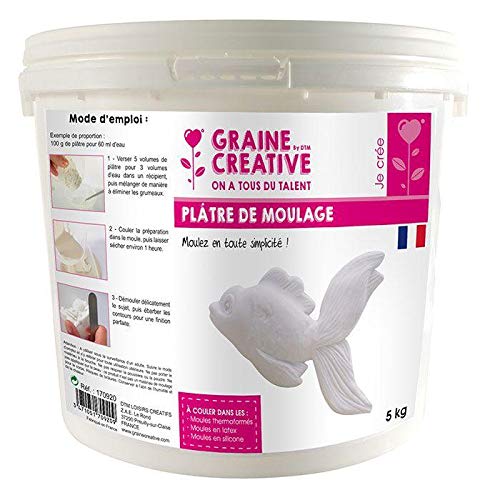 Graine Créative Modellgips 5 kg von Graine Créative