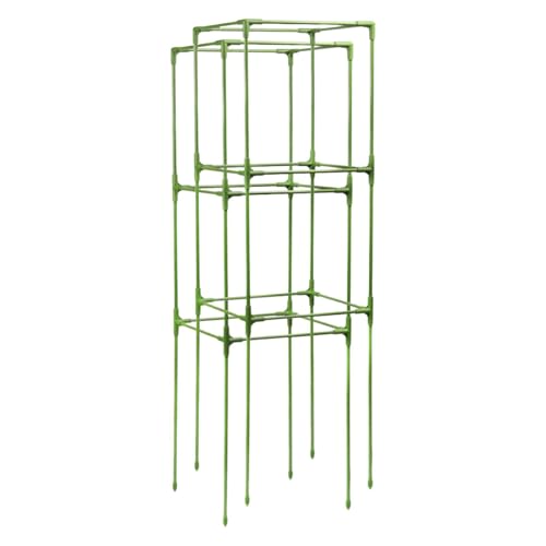 Gralara 2 Stück Tomatenkäfig Quadrat Pflanzstütze Gemüsestütze Rankgitter mit Stabilen Fiberglasrohren für Kräftige Pflanzen für Kleingarten, Mehrfarbig, 32cmx32cmx123cm Gralara 2 Stück Tomatenkäfig Quadrat Pflanzstütze Gemüsestütze Rankgitter mit Stabilen Fiberglasrohren für Kräftige Pflanzen für Kleingarten, Mehrfarbig, 32cmx32cmx123cm von Gralara