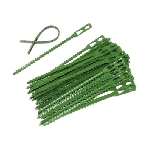 Gralara 50 Stück Pflanzenbinder für Gartenarbeit, Flexible Unterstützung für Sträucher Und Reben, 13cm von Gralara
