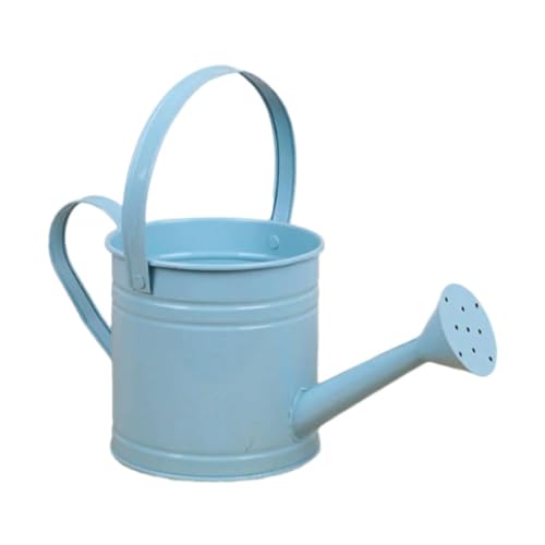 Gralara Garteneimer aus Metall, perfekt für Zimmerpflanzen und Gartenprojekte, Blau Gralara Garteneimer aus Metall, perfekt für Zimmerpflanzen und Gartenprojekte, Blau von Gralara