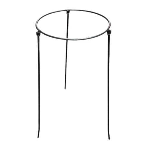 Gralara Müllsackständer Robuste Metallkonstruktion Pflanzenstütze Gartengestell für Laubabfall Gartenabfälle Und Campingmüll, Mehrfarbig, L Gralara Müllsackständer Robuste Metallkonstruktion Pflanzenstütze Gartengestell für Laubabfall Gartenabfälle Und Campingmüll, Mehrfarbig, L von Gralara