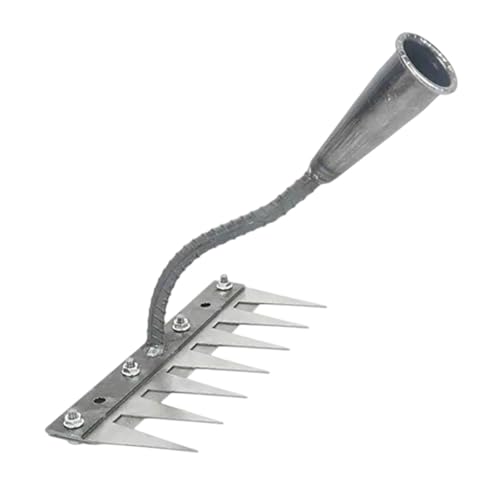 Gralara Gartenhacke Rake Lawn zum Lockern und Jäten, Hochleistungs Unkrauthacke Rechen, Kartoffelhacke, Korrosionsschutz, Dunghacke aus Stahl Unkrautharke für Garten, Kübel, Beete, 7 Zähne Gralara Gartenhacke Rake Lawn zum Lockern und Jäten, Hochleistungs Unkrauthacke Rechen, Kartoffelhacke, Korrosionsschutz, Dunghacke aus Stahl Unkrautharke für Garten, Kübel, Beete, 7 Zähne von Gralara