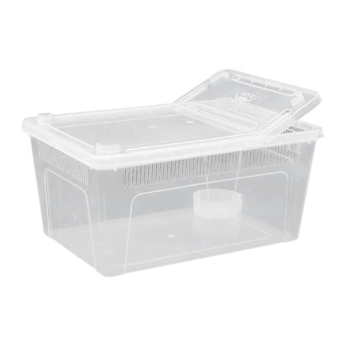 Gralara Reptilien Futterbox, Durchsichtige Brutbox für Terrarien, Brutbehälter für Frösche, Bartagamen, Eidechsen Und Geckos, 32x22x15cm Gralara Reptilien Futterbox, Durchsichtige Brutbox für Terrarien, Brutbehälter für Frösche, Bartagamen, Eidechsen Und Geckos, 32x22x15cm von Gralara