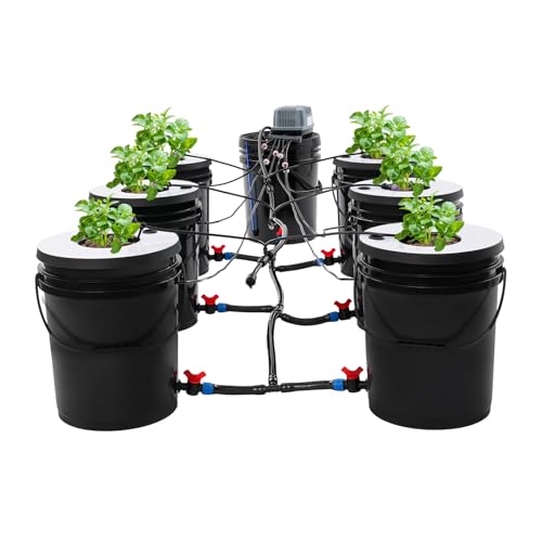 GramStudio Hydrokultur Anbausystem 20L Wachstumssystem Tiefwasserkultur Umwälz-Tiefwasserkultur mit Top Drip, 9W Luftpumpe und 7 Eimer, Hydroponic System für Blattgemüse, Erdbeeren, Tomaten GramStudio Hydrokultur Anbausystem 20L Wachstumssystem Tiefwasserkultur Umwälz-Tiefwasserkultur mit Top Drip, 9W Luftpumpe und 7 Eimer, Hydroponic System für Blattgemüse, Erdbeeren, Tomaten von GramStudio