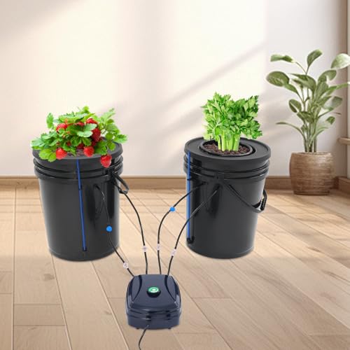 Hydroponics Grow System 5 Gallonen Tiefwasserkultur, 2 Eimer Hydroponisches Anbausystem mit Luftpumpe und Topf-Tropfkit, Hydrokultur Set für Anbauzelten, in Innen, Gärten Hydroponics Grow System 5 Gallonen Tiefwasserkultur, 2 Eimer Hydroponisches Anbausystem mit Luftpumpe und Topf-Tropfkit, Hydrokultur Set für Anbauzelten, in Innen, Gärten von GramStudio