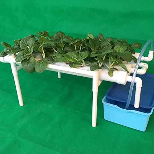 Hydroponics Growing System, 36 Löcher 4 Rohre Hydroponisches Anzuchtsystem, PVC-U-Rohre 1-Layer Hydroponic System Grow Kit für Hause Garten von GramStudio
