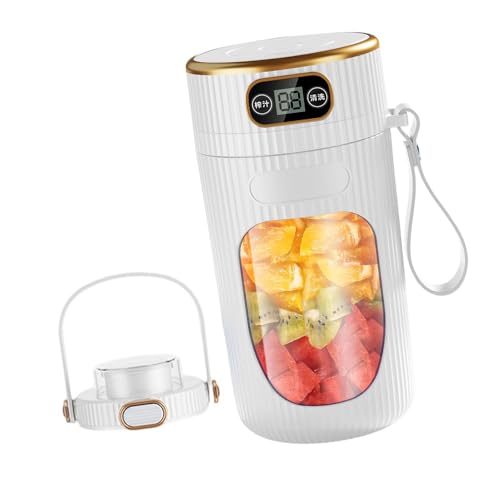 Efficient Power Systems Entsafter Tasse Elektrischer Saftbereiter 2600 mAh Mixer für Gesundheitsbegeisterte und Studenten von Gramigg