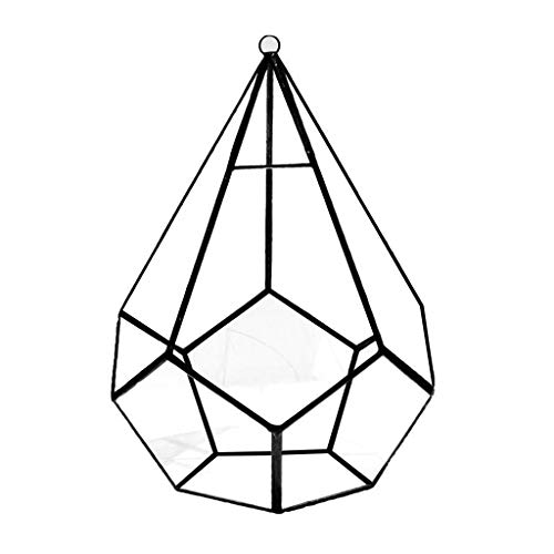 Fünfseitiges Rhombus-Glasregal, geometrisches Sukkulenten-Terrarium, geeignet für Schreibtisch-Dekoration, großer transparenter Moos-Pflanzgefäß, Schmuckkästchen, Perlen, Aufbewahrungsvitrine Fünfseitiges Rhombus-Glasregal, geometrisches Sukkulenten-Terrarium, geeignet für Schreibtisch-Dekoration, großer transparenter Moos-Pflanzgefäß, Schmuckkästchen, Perlen, Aufbewahrungsvitrine von Gramigg
