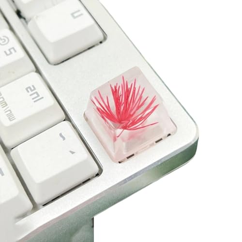Resin ESC Keycap Dekorative Kiefernblüte Trockenblume-Tastenkappen für mechanische Tastaturen mit außergewöhnlicher Transparenz von Gramigg