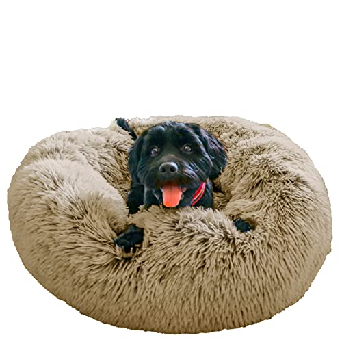 Grand Filippo Fluffy Hundebett Donut 65 cm - Handgefertigt Hundebett Flauschig - Hundekissen Flauschig Katzenbett Waschbar - Hundebett Rund Katzenbett Flauschig Beige von Grand Filippo