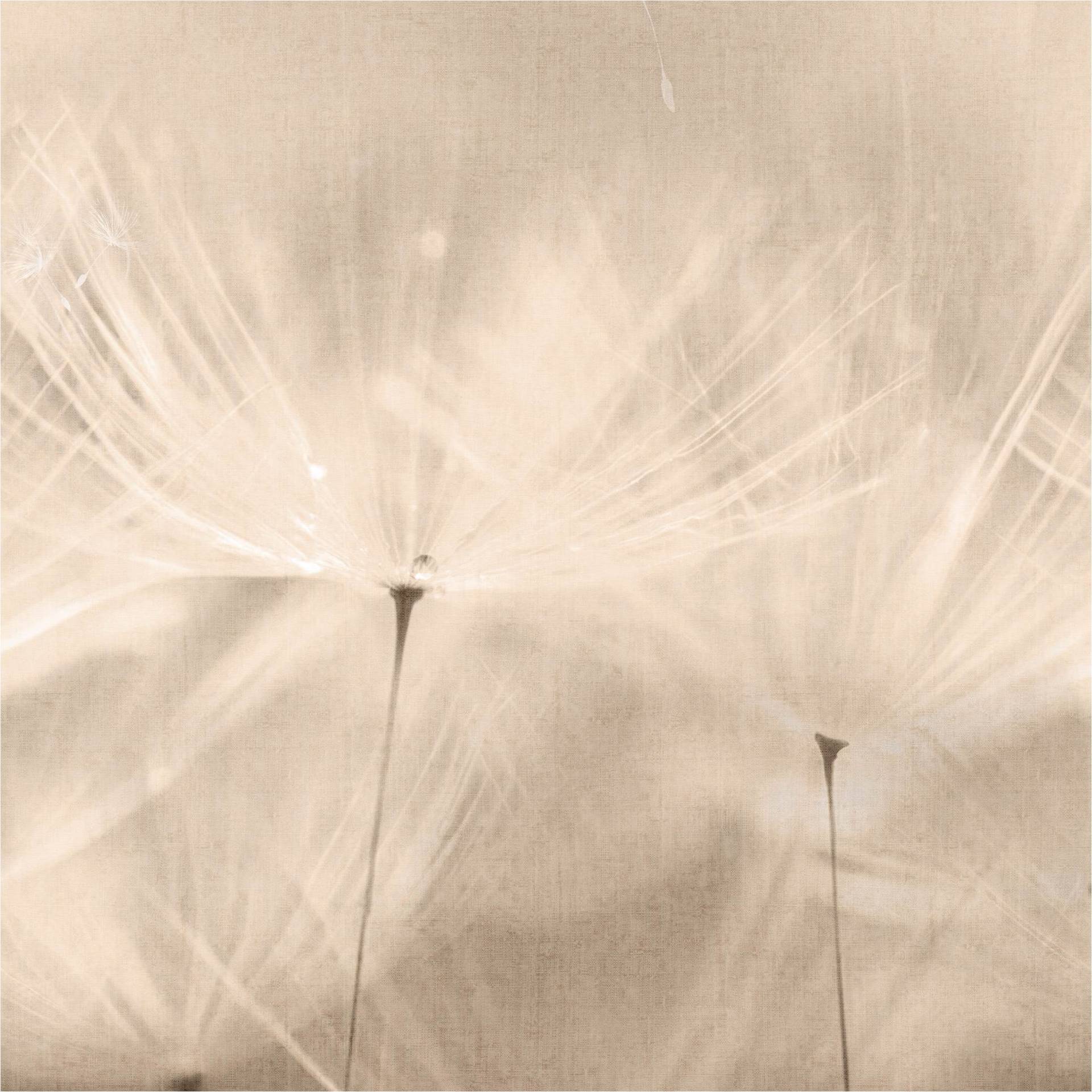 Fototapete 203801 Natur / Landschaft 0.53 x 8.84 m ONE ROLL - ONE MOTIF II Grandeco Fototapete 203801 Natur / Landschaft 0.53 x 8.84 m ONE ROLL - ONE MOTIF II Grandeco von Grandeco