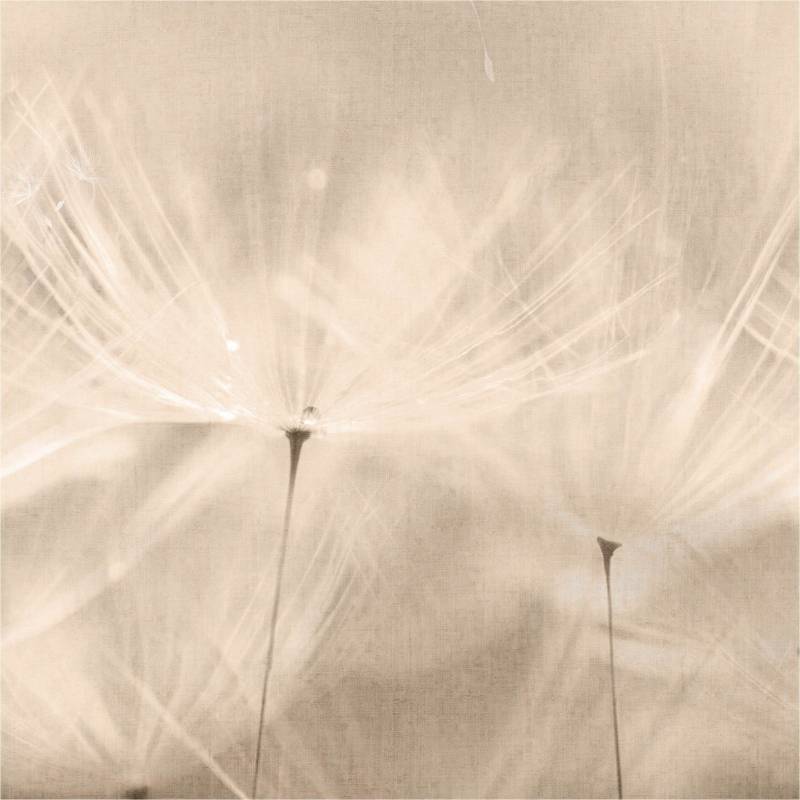 Fototapete 203801 Natur / Landschaft 0.53 x 8.84 m ONE ROLL - ONE MOTIF II Grandeco von Grandeco