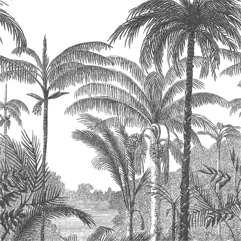 Fototapete A58201 Botanical / Dschungel 0.53 x 8.84 m ONE ROLL - ONE MOTIF II Grandeco von Grandeco