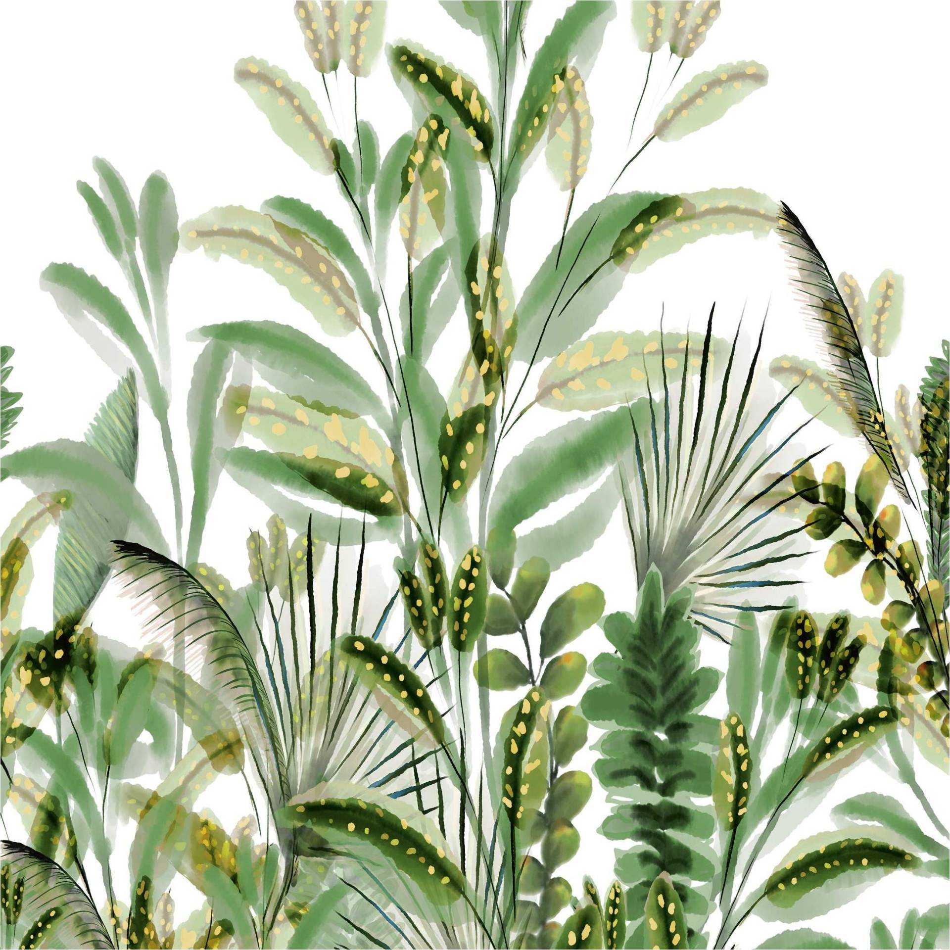 Fototapete A59502 Blumen / Floral 0.53 x 8.84 m ONE ROLL - ONE MOTIF II Grandeco Fototapete A59502 Blumen / Floral 0.53 x 8.84 m ONE ROLL - ONE MOTIF II Grandeco von Grandeco