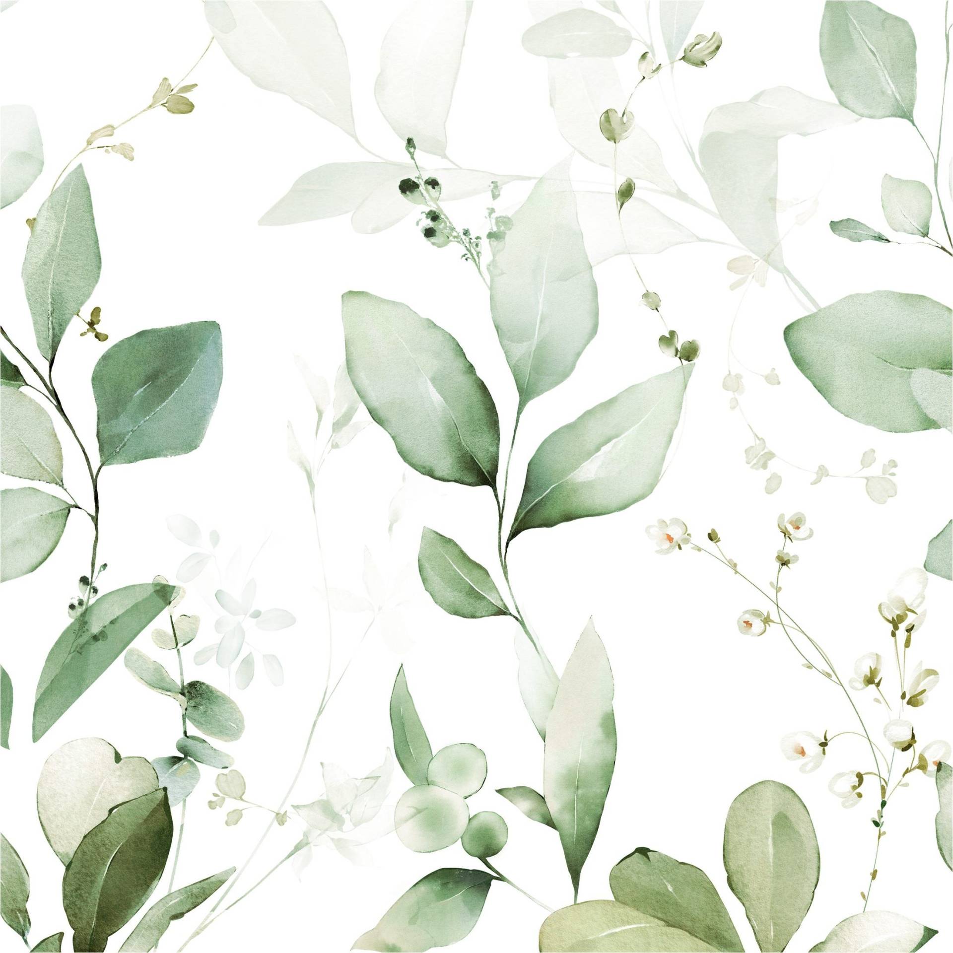 Fototapete A77101 Bäume / Blätter 0.53 x 8.84 m ONE ROLL - ONE MOTIF II Grandeco Fototapete A77101 Bäume / Blätter 0.53 x 8.84 m ONE ROLL - ONE MOTIF II Grandeco von Grandeco