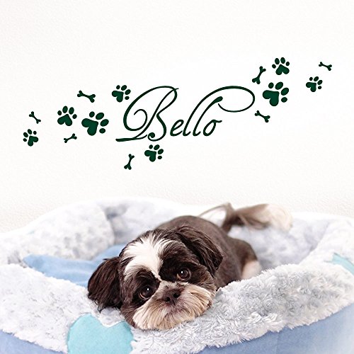 Grandora Wandtattoo Wunschname + Hundepfote Knochen I dunkelgrün (BxH) 50 x 15 cm I Flur Wohnzimmer selbstklebend Aufkleber Wandaufkleber Wandsticker W806 von Grandora