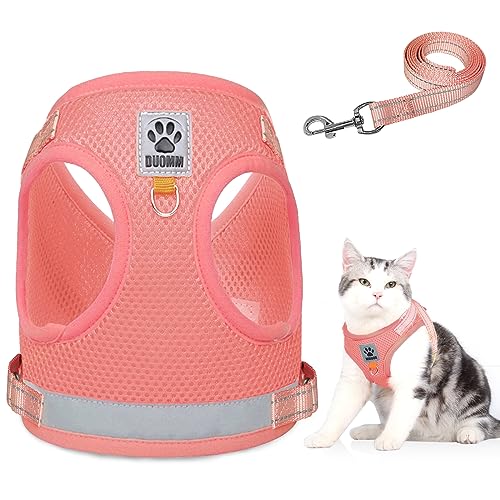 Katzenleine Set für Katzen,Polyester Verstellbares Katzen Geschirr mit Leine,Katzen Weste mit Reflektierenden Streifen für Kitten Hunde (Rosa, M) von Grantop