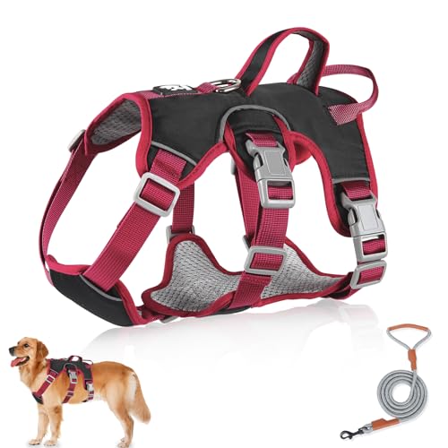 Mehrzweck-Hundegeschirr mit Leine Set, Ausbruchsicheres Anti Zug Hundegeschirr, Anti Zug Geschirr Hund Sicherheitsgeschirr, Hundegeschirre Kleine Hunde für Kleine Mittelgroße Hunde(Schwarz, M) von Grantop