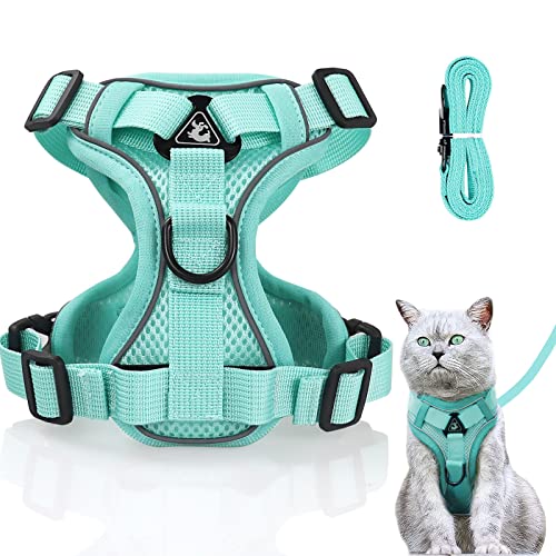 Verstellbares Katzengeschirr Ausbruchsicher, Katzengeschirr mit Leine Set, Softgeschirr für Katze Brustgeschirr für Katzen Kitten Hunde Welpen (Minzgrün -S) von Grantop