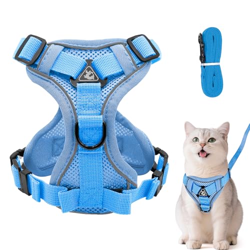 Verstellbares Katzengeschirr Ausbruchsicher, Katzengeschirr mit Leine Set, Softgeschirr für Katze Brustgeschirr für Katzen Kitten Hunde Welpen (Hellblau, S) von Grantop
