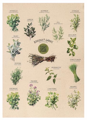 Premium Kräuter-Poster A3 mit Rezept-Generator | Nachhaltig auf Graspapier gedruckt | 14 Küchenkräuter mit botanischen Namen | Hochwertige Küchenwandkunst für Hobbyköche & Gartenfreunde von Graskind