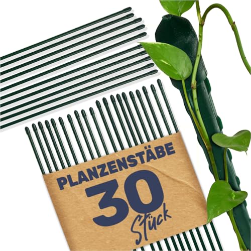 Gravidus Pflanzstäbe Pflanzstab Rankenhilfe Stahl mit Kunststoff Ummantelung Größe120 cm (30 Stück) Gravidus Pflanzstäbe Pflanzstab Rankenhilfe Stahl mit Kunststoff Ummantelung Größe120 cm (30 Stück) von Gravidus