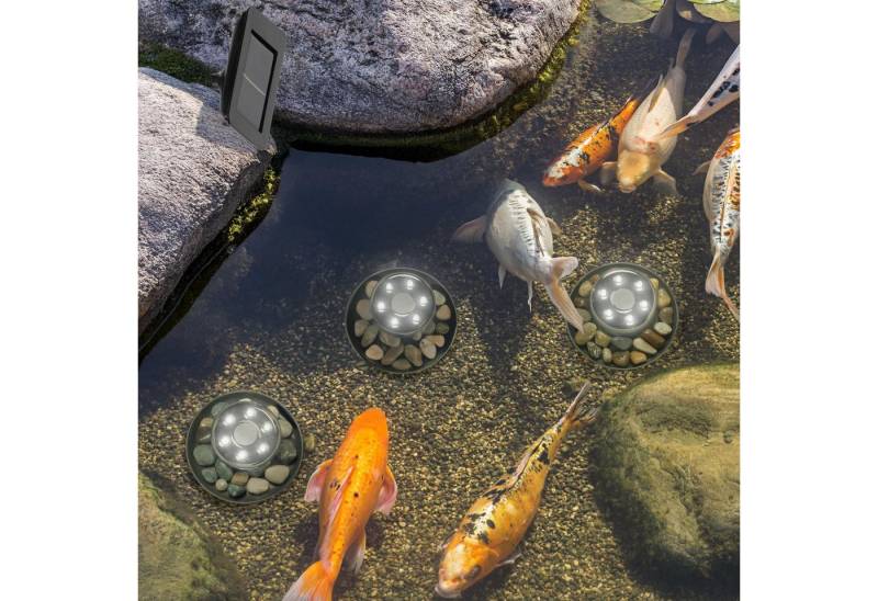 Gravidus LED Teichleuchte Solar Gartenteich Strahler-Set Unterwasserbeleuchtung 3 x 6 LED von Gravidus