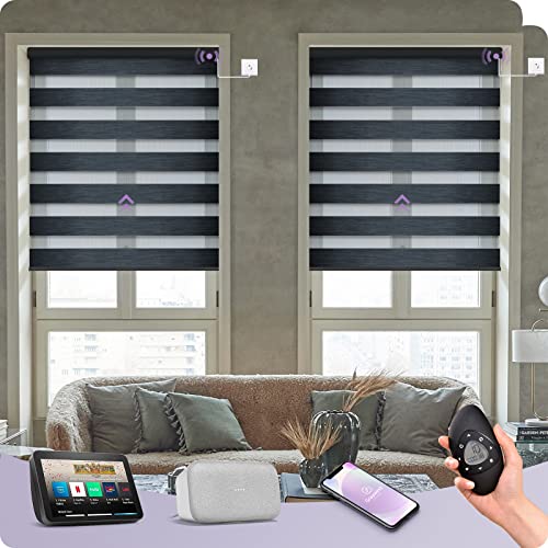 Graywind Elektrische Doppelrollo nach Maß, WiFi Fest Verdrahtet Smart Duo Rollo für Fenster Kompatibel mit Alexa Google, Fernbedienung Jalousien Lichtdurchlässig und Verdunkelnd, Charcoal Graywind Elektrische Doppelrollo nach Maß, WiFi Fest Verdrahtet Smart Duo Rollo für Fenster Kompatibel mit Alexa Google, Fernbedienung Jalousien Lichtdurchlässig und Verdunkelnd, Charcoal von Graywind