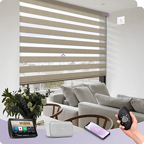 Graywind Elektrische Doppelrollo nach Maß, WiFi Fest Verdrahtet Smart Duo Rollo für Fenster Kompatibel mit Alexa Google, Fernbedienung Jalousien Lichtdurchlässig und Verdunkelnd, Kaffee von Graywind