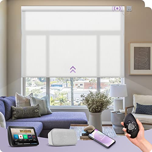 Graywind Elektrische Rollo Innen Lichtfilterung nach Maß, WiFi Fest Verdrahtet Smart Fensterrollo, UV-Schutz Jalousien mit Fernbedienung, Motorisiert Rollo Kompatibel Alexa Google, Reinweiß Graywind Elektrische Rollo Innen Lichtfilterung nach Maß, WiFi Fest Verdrahtet Smart Fensterrollo, UV-Schutz Jalousien mit Fernbedienung, Motorisiert Rollo Kompatibel Alexa Google, Reinweiß von Graywind