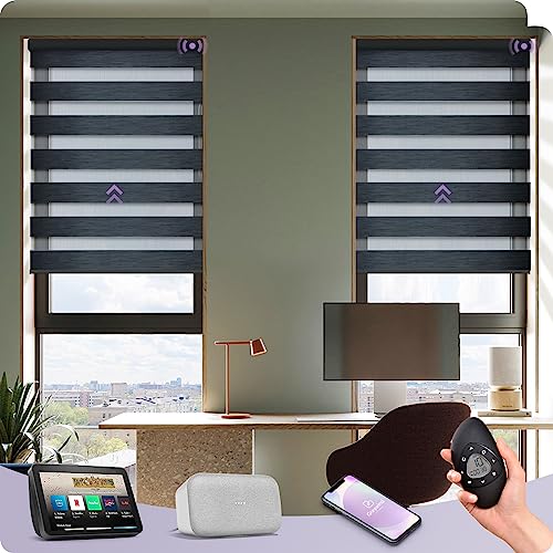 Graywind Elektrische Doppelrollo nach Maß, Wiederaufladbar Smart Duo Rollo Kompatibel mit Alexa Google, Fernbedienung Fensterrollo, Elektrische Jalousien Lichtdurchlässig und Verdunkelnd, Charcoal von Graywind