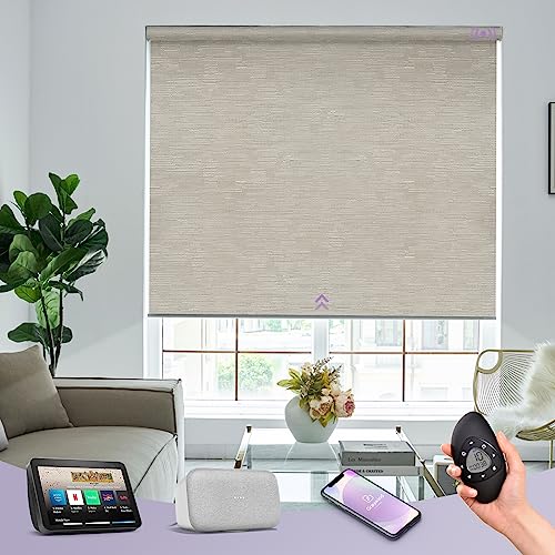 Graywind Wiederaufladbar Elektrische Rollo Innen, nach Maß Textur Stoff Verdunkelung Smart Fensterrollo Kompatibel Alexa Google, Sichtschutz Motorisierte Rollo mit Fernbedienung, Jacquard Kaffee von Graywind