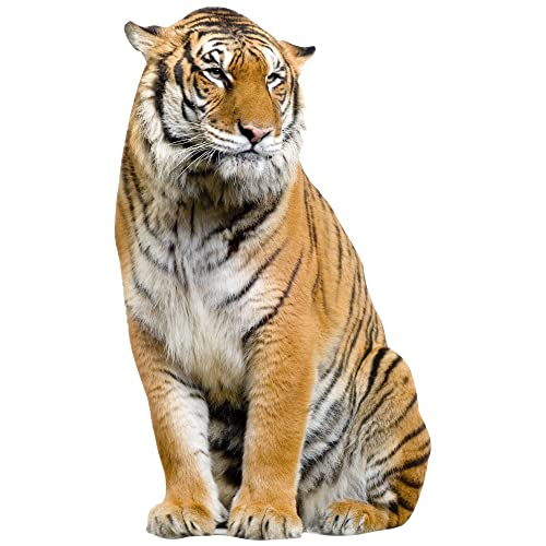 GRAZDesign Wandtattoo Tiger sitzend | Wandaufkleber Afrika | Wandsticker Deko Aufkleber 3d - 96x57cm von GRAZDesign