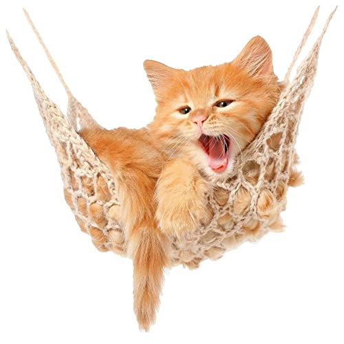 GRAZDesign Wandtattoo Baby Katze, Babykatzen auf Hängematte, Kinderzimmer Wandaufkleber / 51x50cm von GRAZDesign