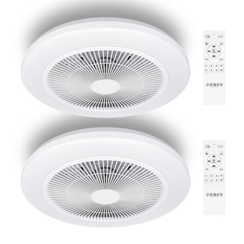 Great Jacob Deckenventilator mit Beleuchtung mit Fernbedienung Leiser, Lampe mit Ventilator mit Timer, Φ48cm, DC-Motor, 2pcs von Great Jacob