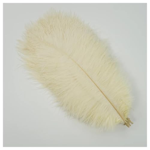 GreatRise 15-20cm Natürlich Straußenfedern Weich Strauß Federn Strauß Feder Plume Vogelfedern Bastelfedern für Hochzeit Halloween Weihnachtsdekoration Tisch Dekoration Beige 50 Stück von GreatRise