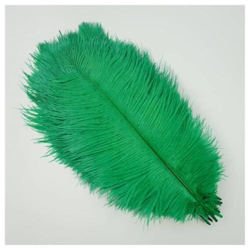 GreatRise 15-20cm Natürlich Straußenfedern Weich Strauß Federn Strauß Feder Plume Vogelfedern Bastelfedern für Hochzeit Halloween Weihnachtsdekoration Tisch Dekoration Grasgrün 10 Stück von GreatRise