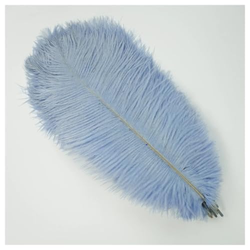 GreatRise 15-20cm Natürlich Straußenfedern Weich Strauß Federn Strauß Feder Plume Vogelfedern Bastelfedern für Hochzeit Halloween Weihnachtsdekoration Tisch Dekoration Hellblau 50 Stück von GreatRise