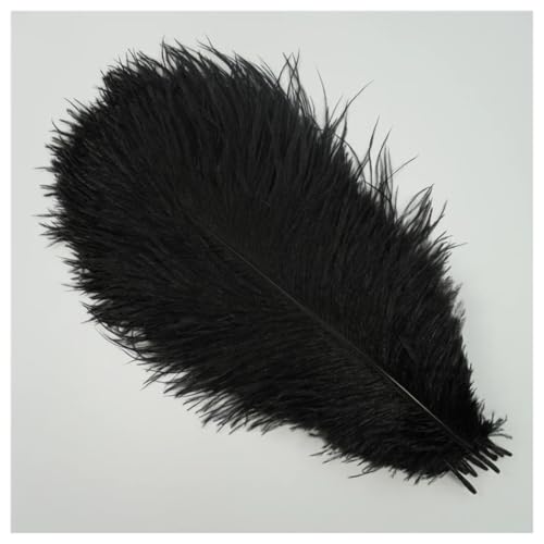 GreatRise 15-20cm Natürlich Straußenfedern Weich Strauß Federn Strauß Feder Plume Vogelfedern Bastelfedern für Hochzeit Halloween Weihnachtsdekoration Tisch Dekoration Schwarz 20 Stück GreatRise 15-20cm Natürlich Straußenfedern Weich Strauß Federn Strauß Feder Plume Vogelfedern Bastelfedern für Hochzeit Halloween Weihnachtsdekoration Tisch Dekoration Schwarz 20 Stück von GreatRise
