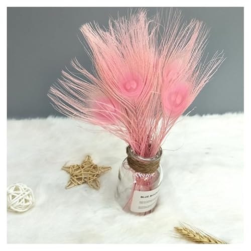 GreatRise 25-30cm Pfauenfedern Natürliche Pfau Federn Federn für Vase Pfau Schwanzfedern Schöne Heckaugenfedern Heimdekoration für DIY Bastelarbeiten Blumenvase Kappe Brautkostüm Rosa 25-30cm*10 Stück GreatRise 25-30cm Pfauenfedern Natürliche Pfau Federn Federn für Vase Pfau Schwanzfedern Schöne Heckaugenfedern Heimdekoration für DIY Bastelarbeiten Blumenvase Kappe Brautkostüm Rosa 25-30cm*10 Stück von GreatRise