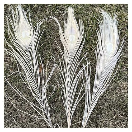 GreatRise 25-30cm Pfauenfedern Natürliche Pfau Federn Federn für Vase Pfau Schwanzfedern Schöne Heckaugenfedern Heimdekoration für DIY Bastelarbeiten Blumenvase Kappe Brautkostüm Weiß 25-30cm*20 Stück GreatRise 25-30cm Pfauenfedern Natürliche Pfau Federn Federn für Vase Pfau Schwanzfedern Schöne Heckaugenfedern Heimdekoration für DIY Bastelarbeiten Blumenvase Kappe Brautkostüm Weiß 25-30cm*20 Stück von GreatRise