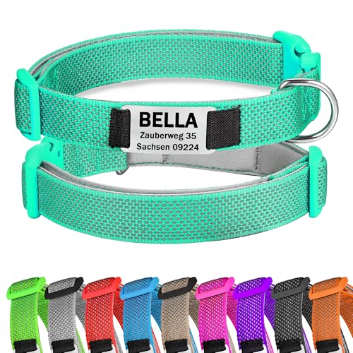 Türkis Hundehalsband Reflektierendes gepolstertes Nylon verstellbar mit Schnalle Personalisiert mit Namen und Telefonnummer für kleine Hunde, S von Gredstar