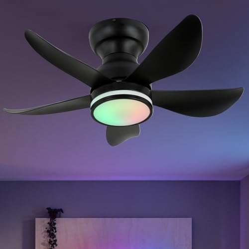 GreeLustr RGB Deckenventilator mit Beleuchtung, Ø76cm, Deckenlampe mit Ventilator 6 Geschwindigkeiten Speicher 3CCT, LED Dimmbare Reversible Moderne Deckenventilatoren für Schlafzimmer（Schwarz） von GreeLustr